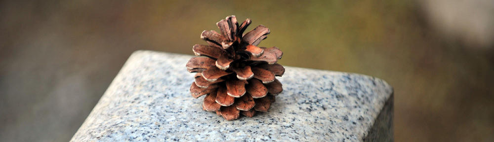 mini-treasures.com